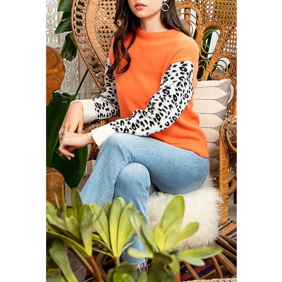 THML | Leopard Sleeve Sweater - Picture 4 of 5